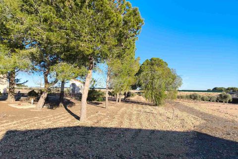 Landejendom i Yecla, Murcia, Yecla - € 185.000 | Ref: SF0522 - foto 28